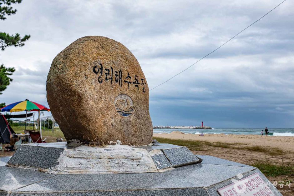 영리해수욕장 여행 추천 - 메고지고 영리해수욕장 여행 추천 - 메고지고