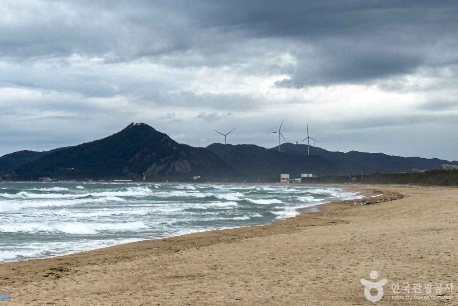 영리해수욕장 여행 추천 - 메고지고 영리해수욕장 여행 추천 - 메고지고