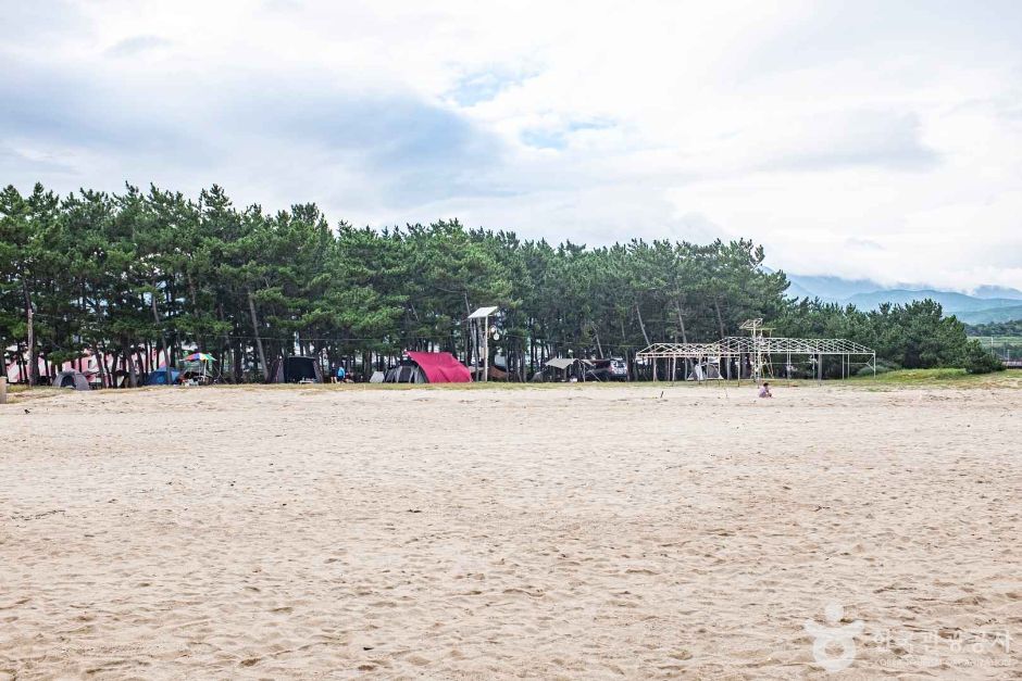 영리해수욕장 여행 추천 - 메고지고 영리해수욕장 여행 추천 - 메고지고
