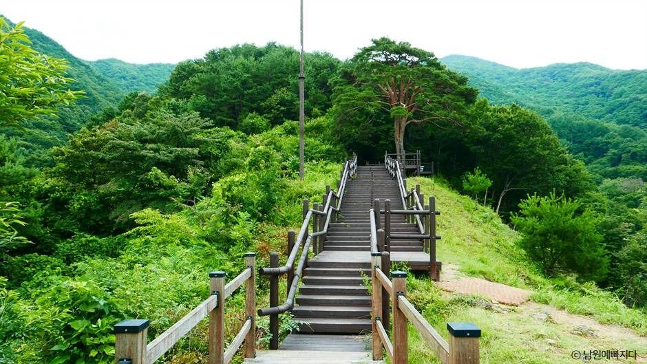 지리산 천년송 여행 추천 - 메고지고 지리산 천년송 여행 추천 - 메고지고