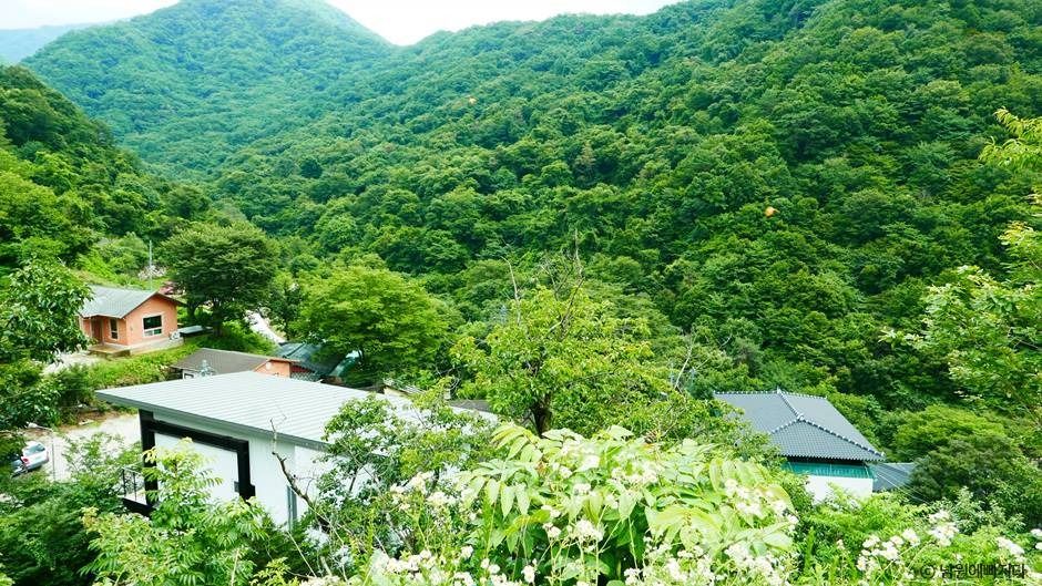 지리산 천년송 여행 추천 - 메고지고 지리산 천년송 여행 추천 - 메고지고