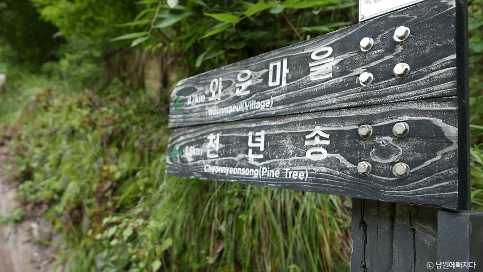 지리산 천년송 여행 추천 - 메고지고 지리산 천년송 여행 추천 - 메고지고