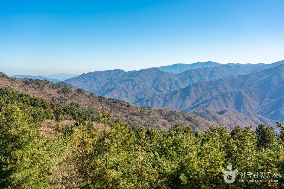 정령치 여행 추천 - 메고지고 정령치 여행 추천 - 메고지고