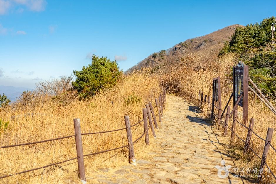 정령치 여행 추천 - 메고지고 정령치 여행 추천 - 메고지고