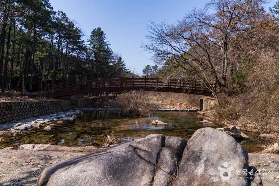 안양수목원 여행 추천 - 메고지고 안양수목원 여행 추천 - 메고지고