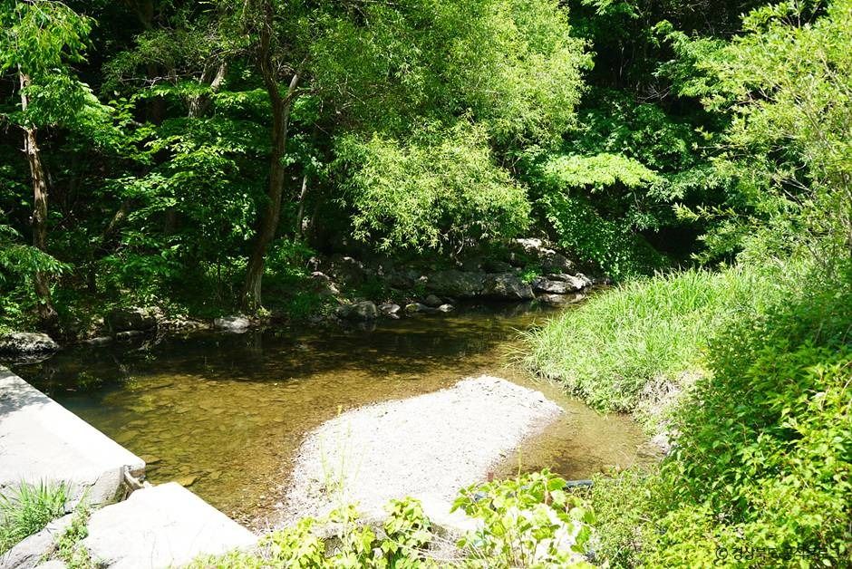 주산지(청송 국가지질공원) 여행 추천 - 메고지고 주산지(청송 국가지질공원) 여행 추천 - 메고지고