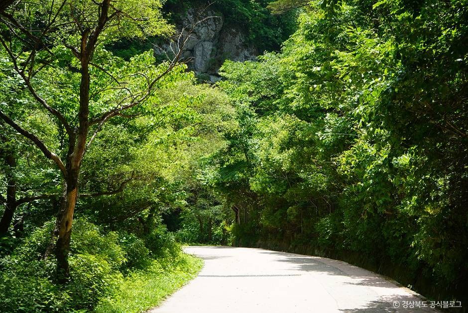 주산지(청송 국가지질공원) 여행 추천 - 메고지고 주산지(청송 국가지질공원) 여행 추천 - 메고지고