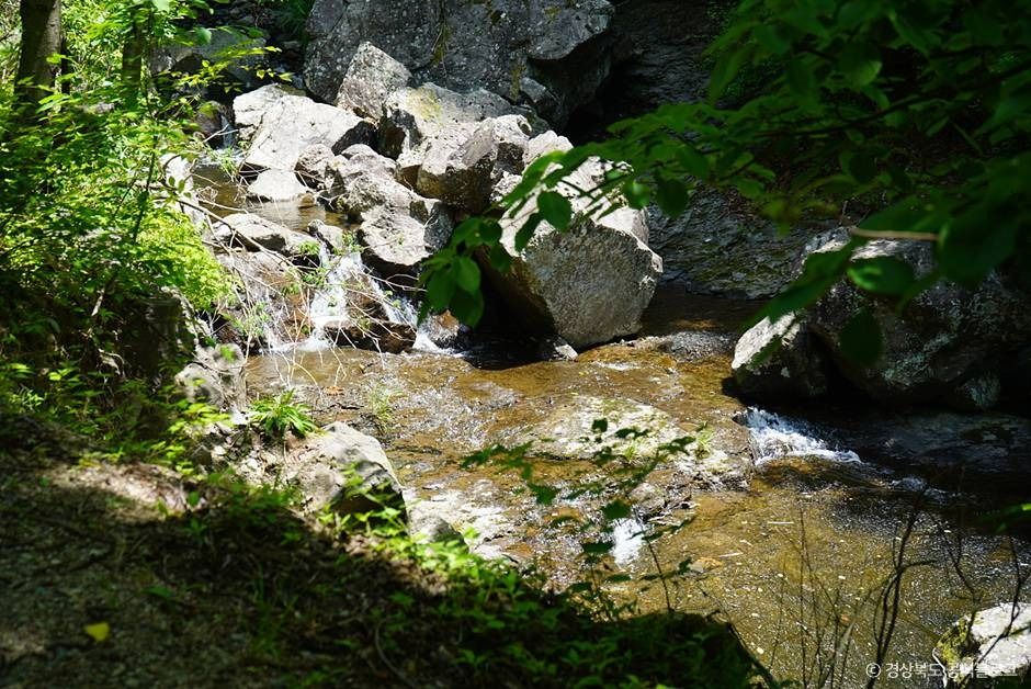 주산지(청송 국가지질공원) 여행 추천 - 메고지고 주산지(청송 국가지질공원) 여행 추천 - 메고지고