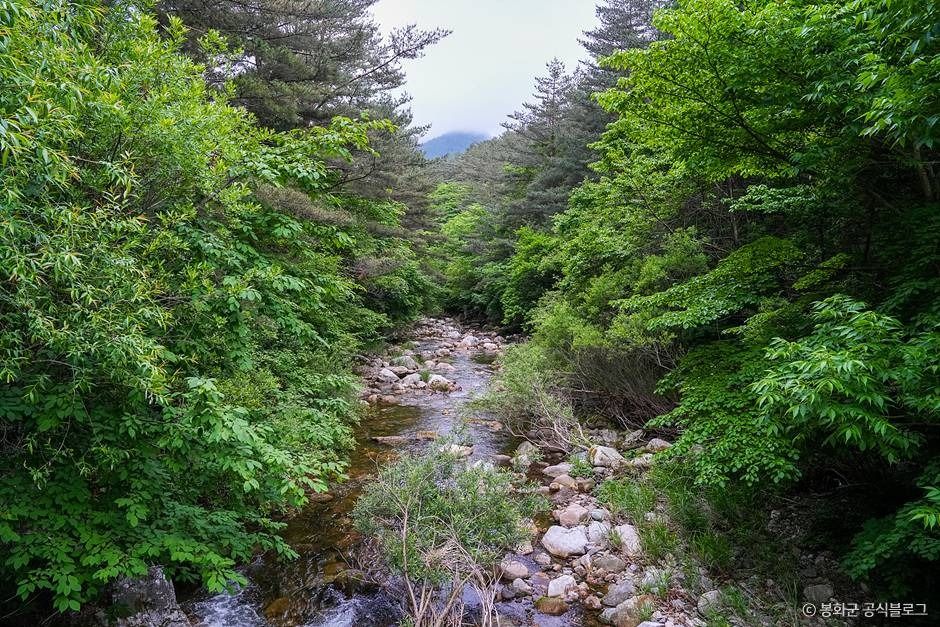 백천계곡 여행 추천 - 메고지고