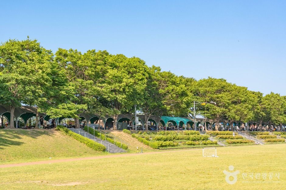 진위천유원지 여행 추천 - 메고지고