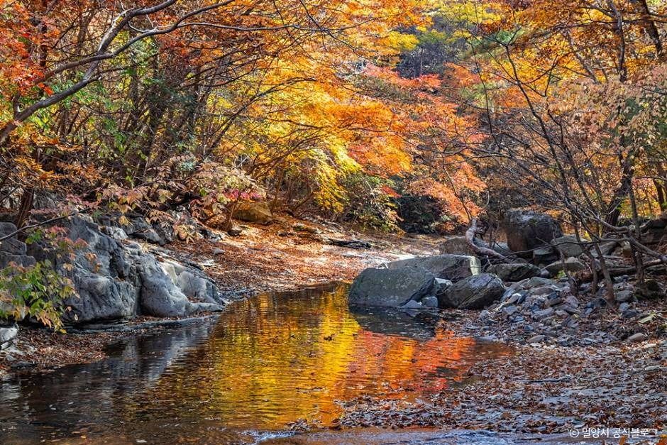 쇠점골계곡 여행 추천 - 메고지고 쇠점골계곡 여행 추천 - 메고지고