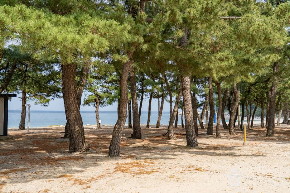 잔교리해수욕장 여행 추천 - 메고지고 잔교리해수욕장 여행 추천 - 메고지고