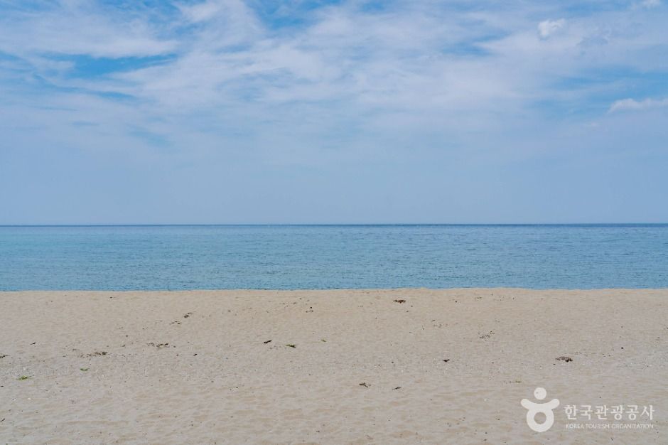 잔교리해수욕장 여행 추천 - 메고지고 잔교리해수욕장 여행 추천 - 메고지고