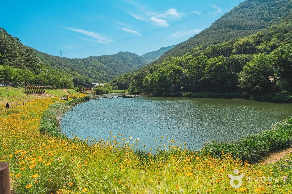 진밭골산림공원 여행 추천 - 메고지고 진밭골산림공원 여행 추천 - 메고지고