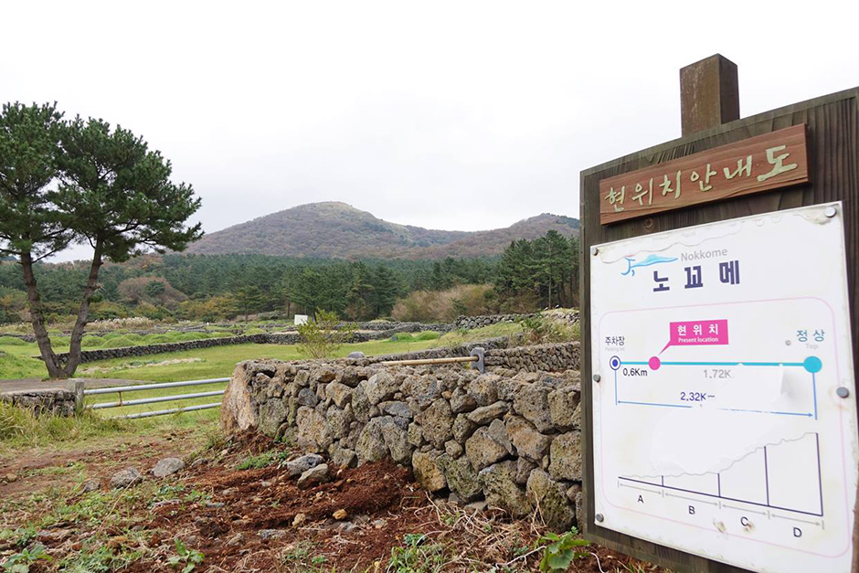 큰노꼬메오름 여행 추천 - 메고지고 큰노꼬메오름 여행 추천 - 메고지고