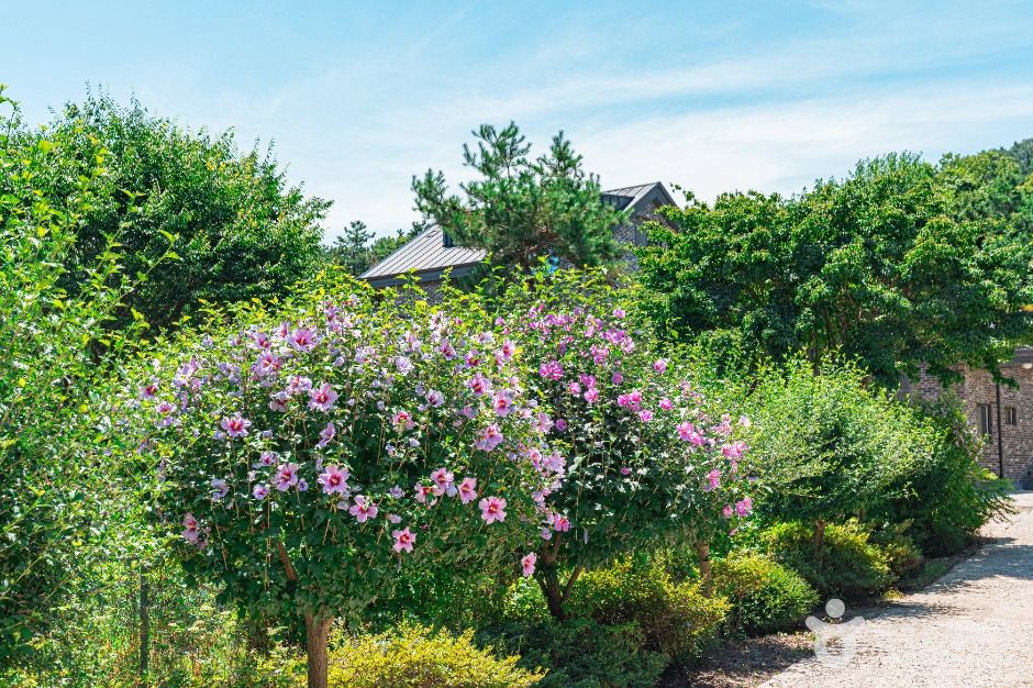 무궁화동산 여행 추천 - 메고지고 무궁화동산 여행 추천 - 메고지고