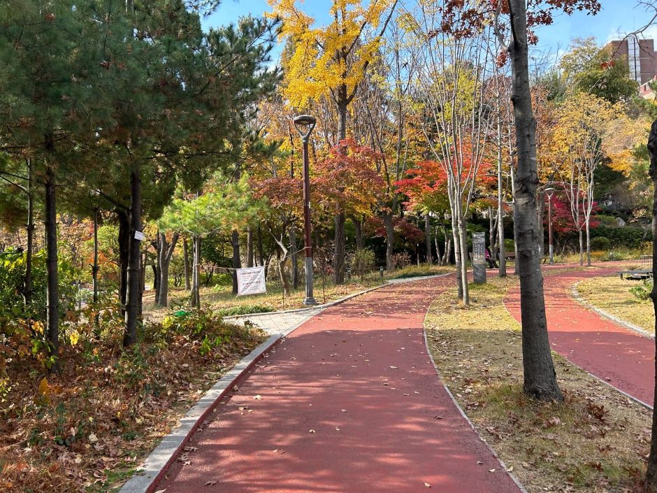 손기정체육공원 여행 추천 - 메고지고 손기정체육공원 여행 추천 - 메고지고