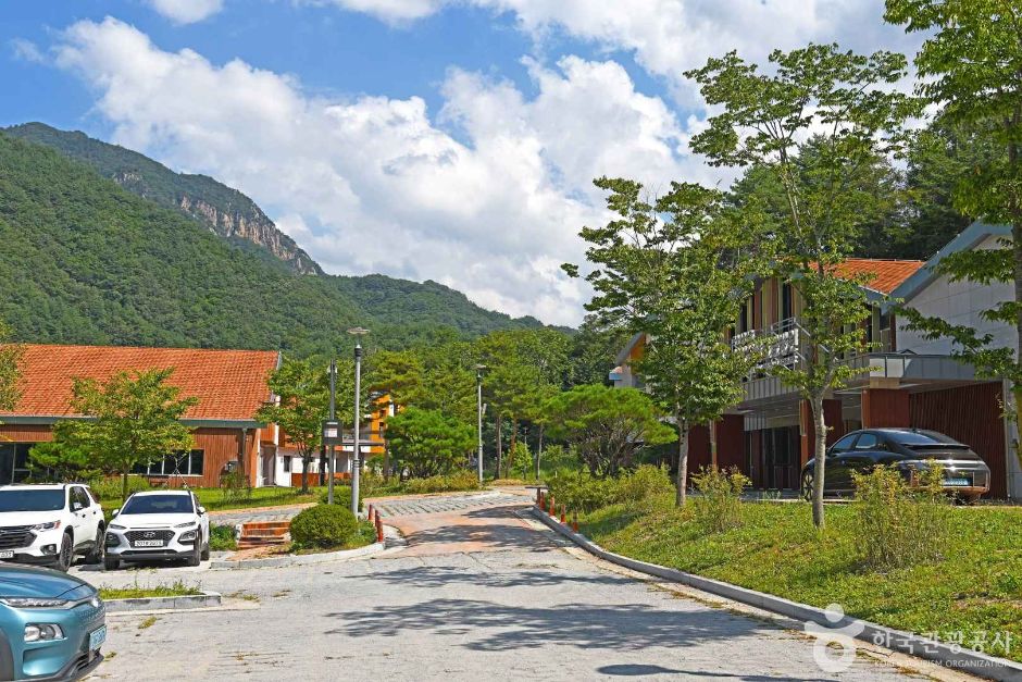 설악산 생태탐방원 여행 추천 - 메고지고 설악산 생태탐방원 여행 추천 - 메고지고
