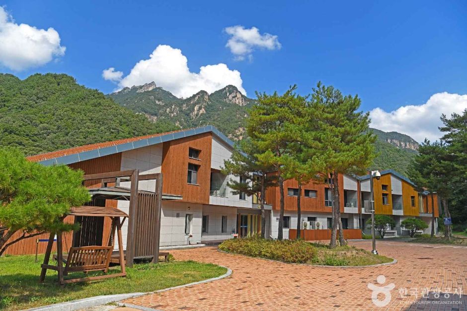 설악산 생태탐방원 여행 추천 - 메고지고 설악산 생태탐방원 여행 추천 - 메고지고
