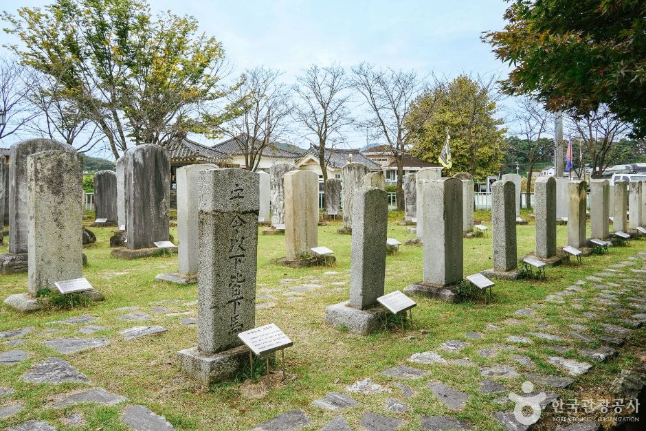 [DMZ 평화의 길] 강화평화전망대 코스 여행 추천 - 메고지고