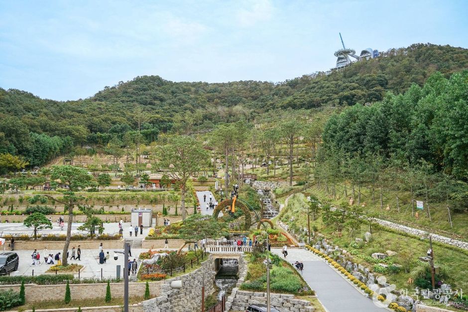 [DMZ 평화의 길] 강화평화전망대 코스 여행 추천 - 메고지고