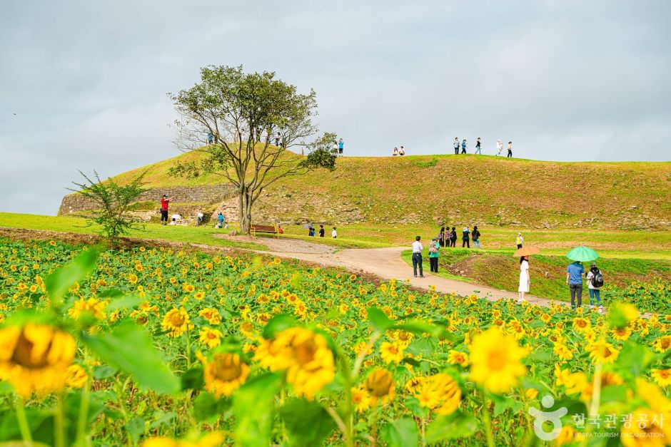 [DMZ 평화의 길] 1·21 침투로 탐방 코스 여행 추천 - 메고지고