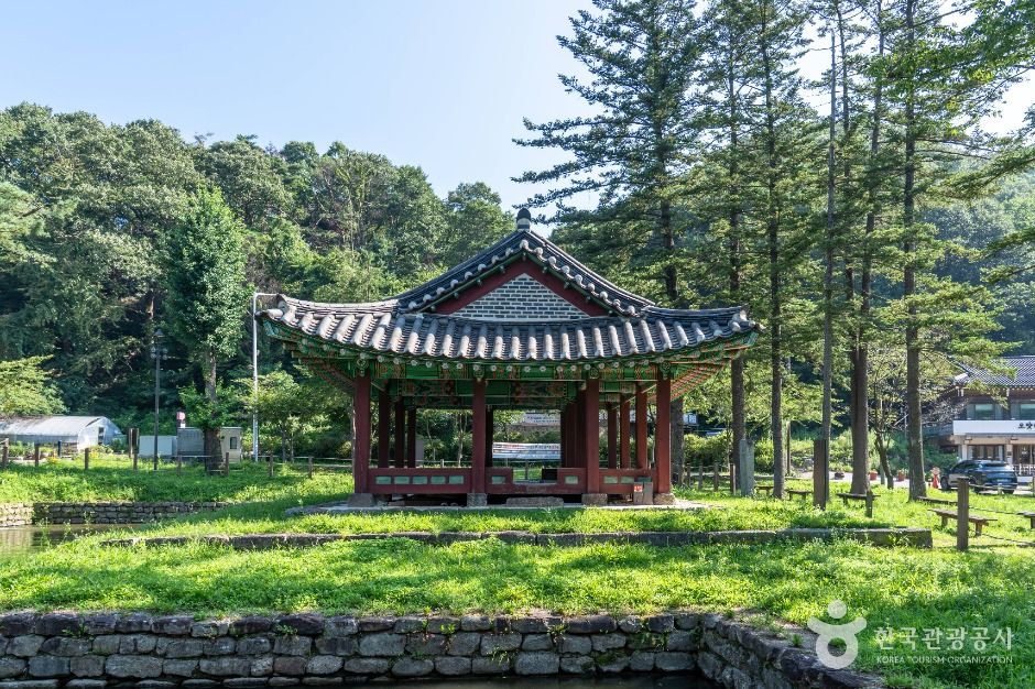지수당 여행 추천 - 메고지고 지수당 여행 추천 - 메고지고