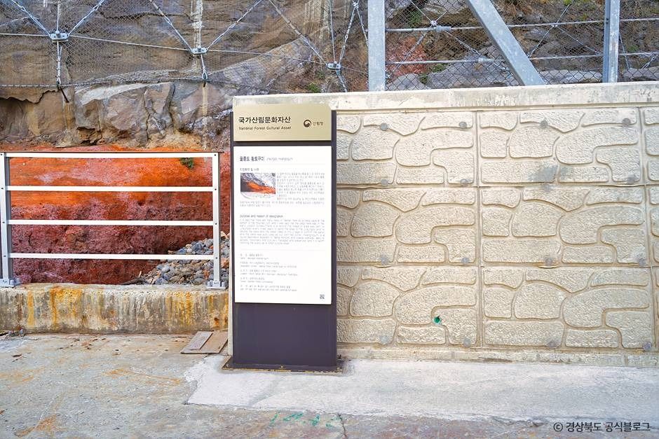 황토굴 (울릉군, 독도 국가지질공원) 여행 추천 - 메고지고