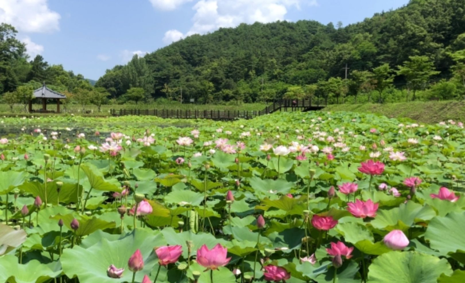 지산지(옥련생태공원) 여행 추천 - 메고지고