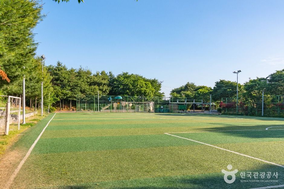 서탄금암체육공원 여행 추천 - 메고지고