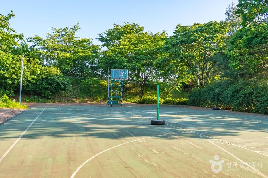 서탄금암체육공원 여행 추천 - 메고지고