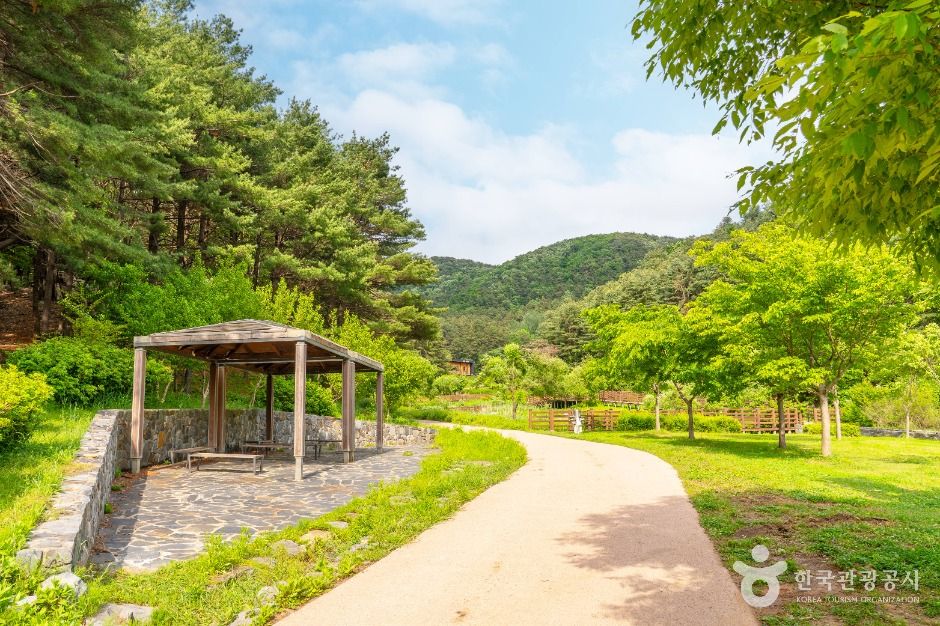 매쟁이골 여행 추천 - 메고지고