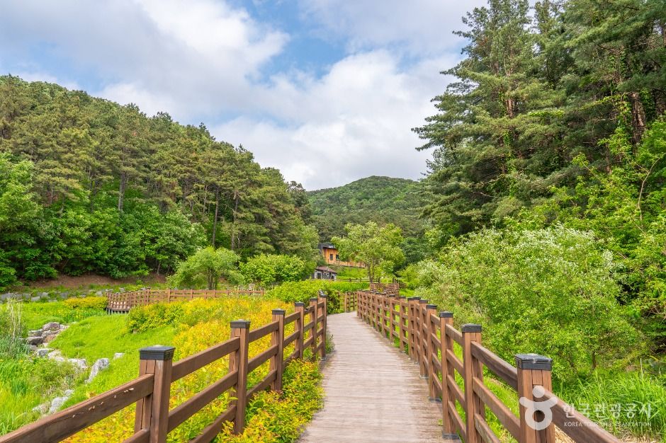 매쟁이골 여행 추천 - 메고지고