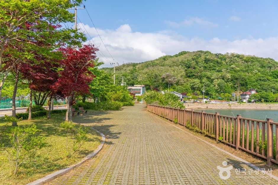 갈치저수지 여행 추천 - 메고지고