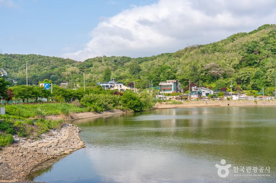 갈치저수지 여행 추천 - 메고지고