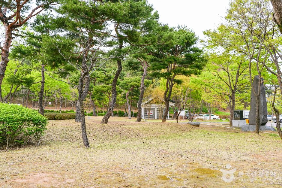 흥무공원 여행 추천 - 메고지고 흥무공원 여행 추천 - 메고지고
