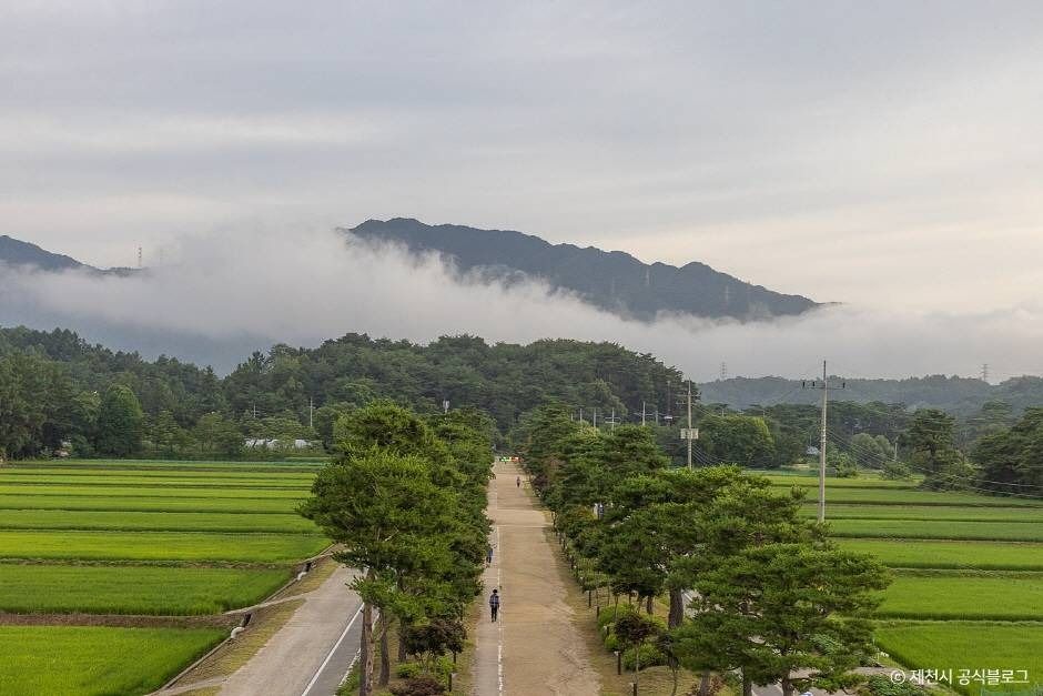 삼한의 초록길 여행 추천 - 메고지고