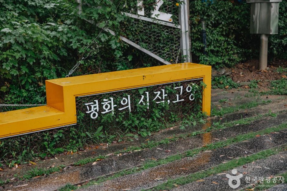 [DMZ 평화의 길] 장항습지생태 코스 여행 추천 - 메고지고