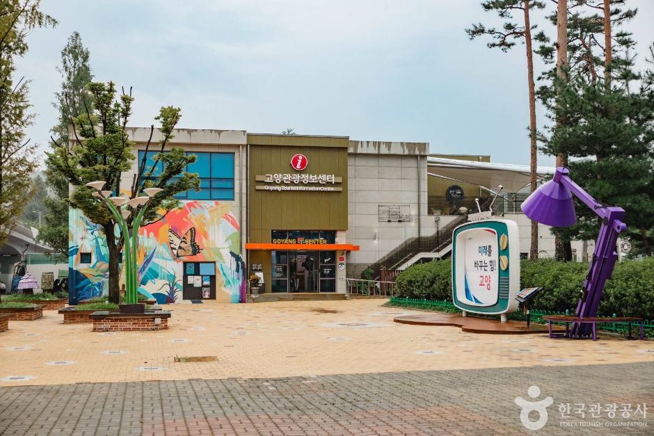 [DMZ 평화의 길] 장항습지생태 코스 여행 추천 - 메고지고