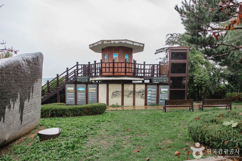 [DMZ 평화의 길] 장항습지생태 코스 여행 추천 - 메고지고