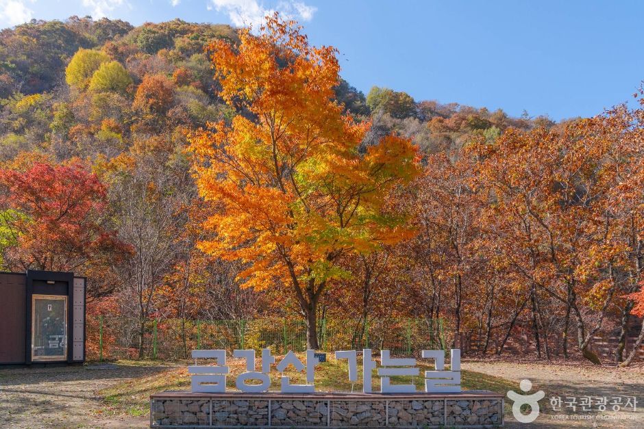 [DMZ 평화의 길] 두타연 피의능선 코스 여행 추천 - 메고지고