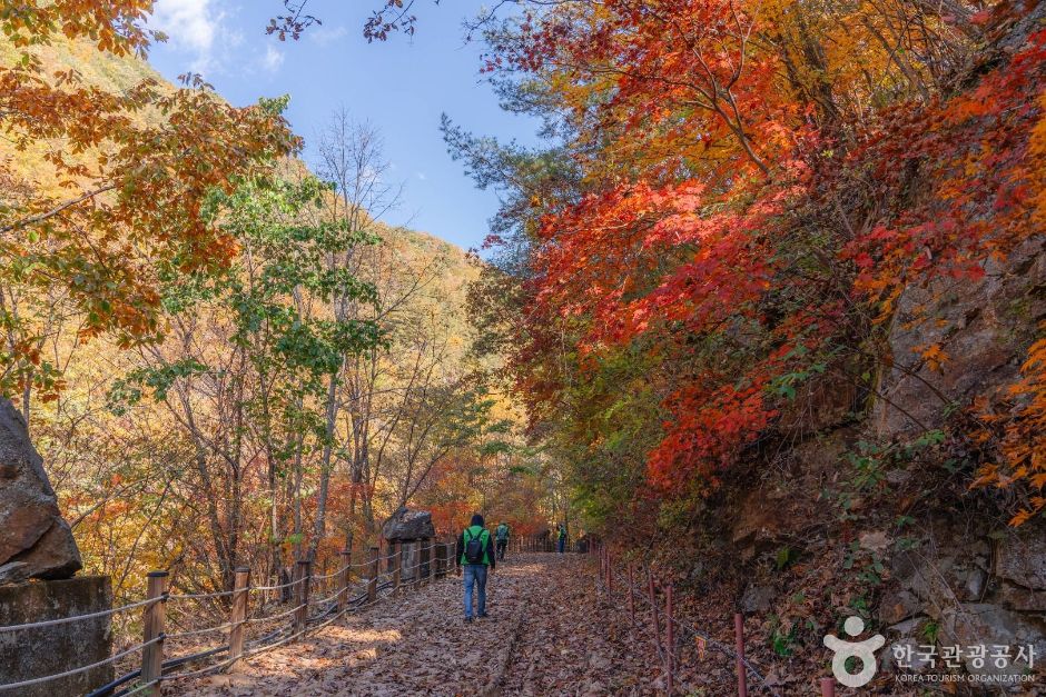 [DMZ 평화의 길] 두타연 피의능선 코스 여행 추천 - 메고지고