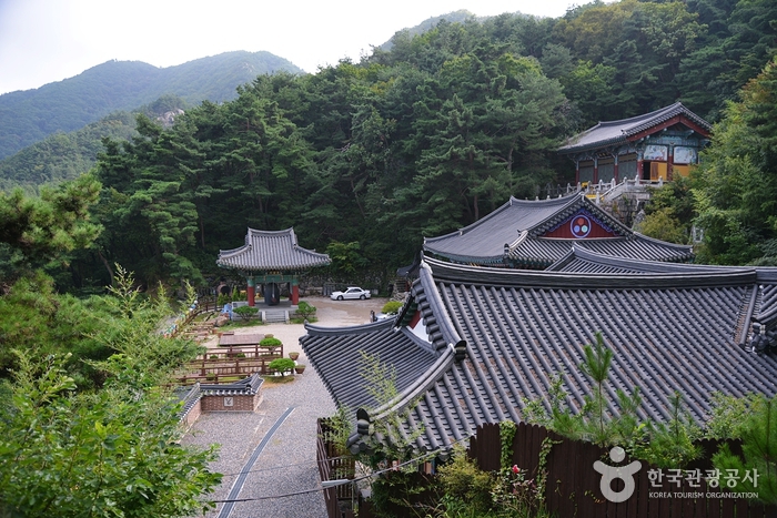 용암사(옥천) 여행 추천 - 메고지고 용암사(옥천) 여행 추천 - 메고지고
