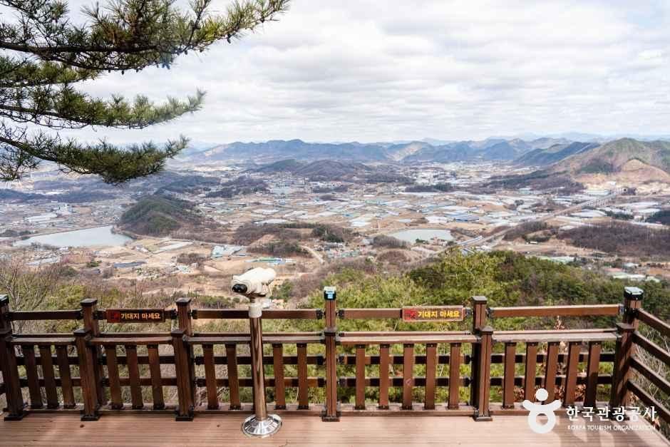 용암사(옥천) 여행 추천 - 메고지고 용암사(옥천) 여행 추천 - 메고지고