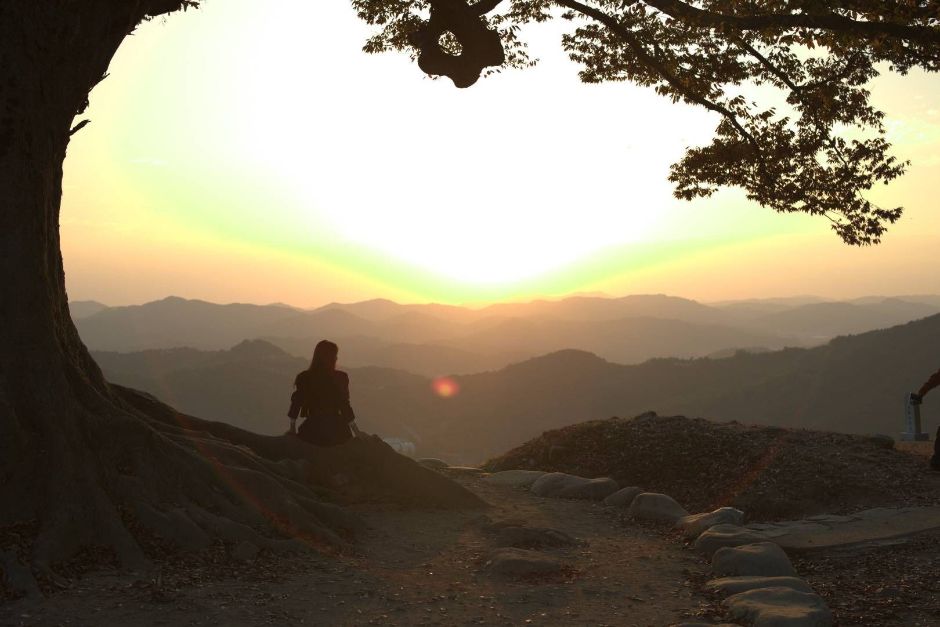 성흥산 사랑나무 여행 추천 - 메고지고 성흥산 사랑나무 여행 추천 - 메고지고
