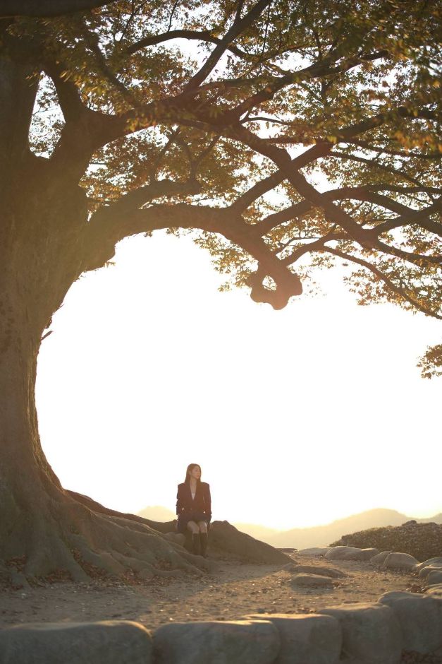 성흥산 사랑나무 여행 추천 - 메고지고 성흥산 사랑나무 여행 추천 - 메고지고