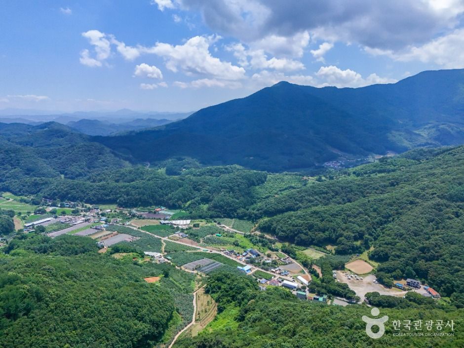 운달산 여행 추천 - 메고지고