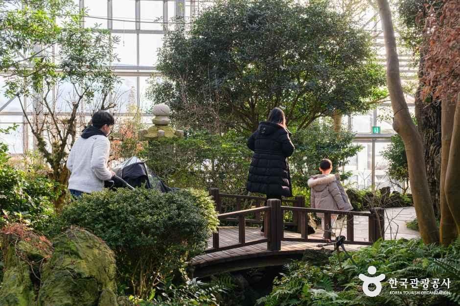 화성시 우리꽃식물원 여행 추천 - 메고지고