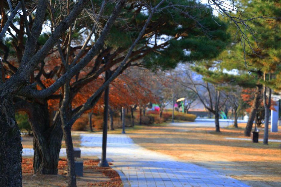 부여 백마강 친환경 자전거길 여행 추천 - 메고지고 부여 백마강 친환경 자전거길 여행 추천 - 메고지고
