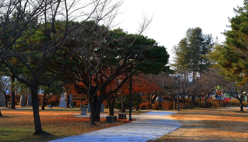 부여 백마강 친환경 자전거길 여행 추천 - 메고지고 부여 백마강 친환경 자전거길 여행 추천 - 메고지고